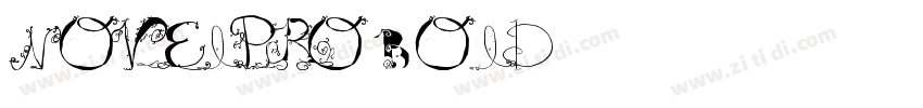NovelPro Bold字体转换
